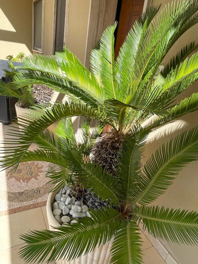 Ferienhaus Ancora Del Salento *